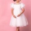 Mini Audra Dress -CINZ Clothing Shop Audra1 525679