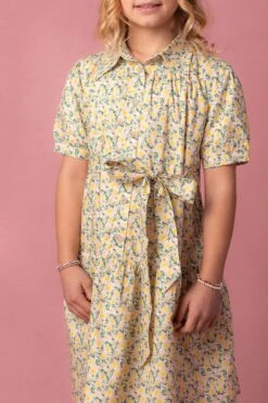 Mini Genevieve Dress -CINZ Clothing Shop Genevive Studio Easter24 20 791354