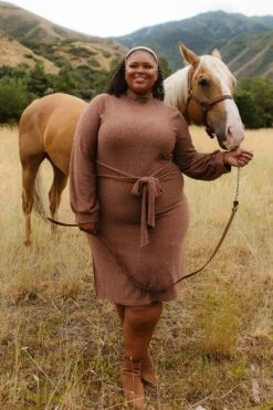 Jensen Dress In Mocha - FINAL SALE -CINZ Clothing Shop JensenMocha QuietMeadows F23 114 473421