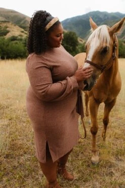 Jensen Dress In Mocha - FINAL SALE -CINZ Clothing Shop JensenMocha QuietMeadows F23 118 251736