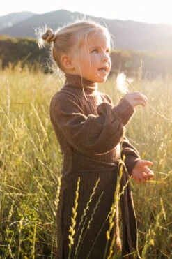 Mini Jensen Dress In Mocha - FINAL SALE -CINZ Clothing Shop WEB JensenDress FW23 LindsayArnold 23