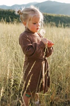 Mini Jensen Dress In Mocha - FINAL SALE -CINZ Clothing Shop WEB JensenDress FW23 LindsayArnold 25