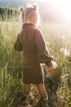 Mini Jensen Dress In Mocha - FINAL SALE -CINZ Clothing Shop WEB JensenDress FW23 LindsayArnold 26 625677