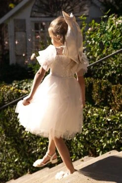 Mini Audra Dress -CINZ Clothing Shop audra 3 723440