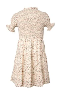 Mini Delia Dress In Ditsy Floral -CINZ Clothing Shop deliaditsymini back 819246