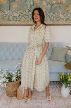 Genevieve Dress -CINZ Clothing Shop genevive 18 561539